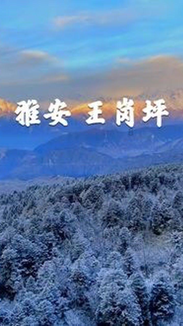 逗小猴开心系列198
